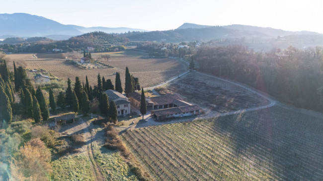  zu verkauf in Bardolino