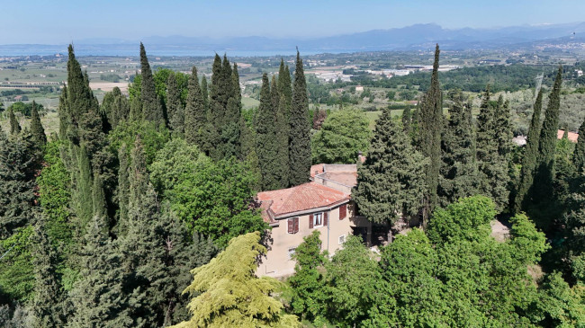  for sale in Bussolengo