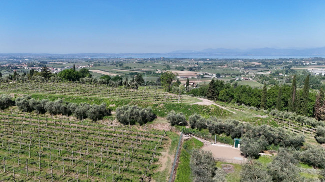 Villa in vendita a Bussolengo