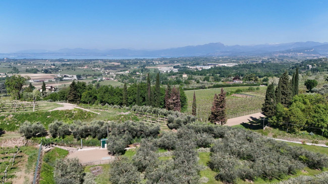 Villa in vendita a Bussolengo