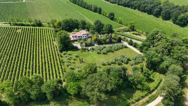 Villa in vendita a Castelnuovo del Garda