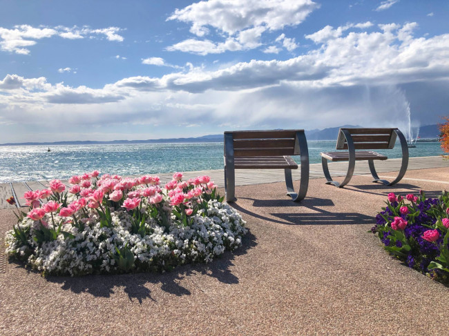  zu verkauf in Bardolino
