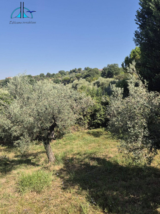 Villa in vendita a Montopoli di Sabina