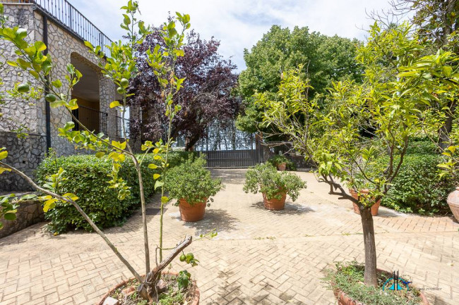 Villa in vendita a Collevecchio