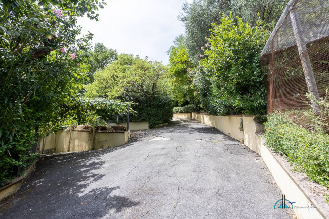 Villa in vendita a Collevecchio