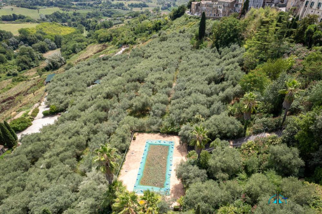 Villa in vendita a Collevecchio
