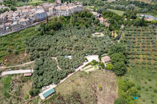 Villa in vendita a Collevecchio