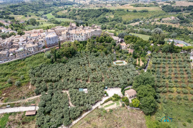 Villa in vendita a Collevecchio