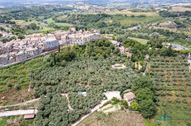 Villa in vendita a Collevecchio