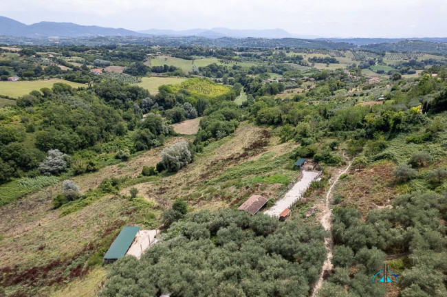 Villa in vendita a Collevecchio