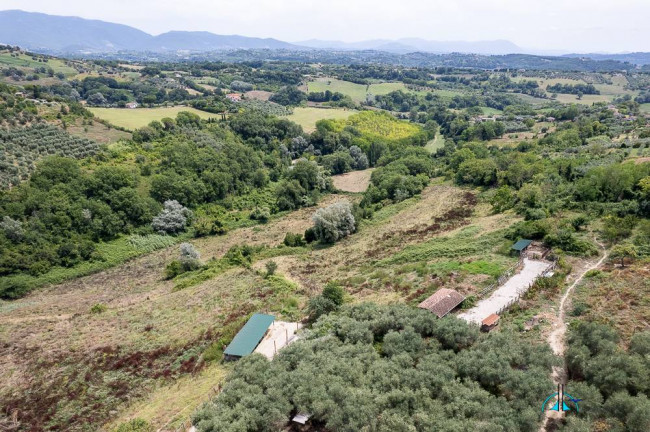 Villa in vendita a Collevecchio