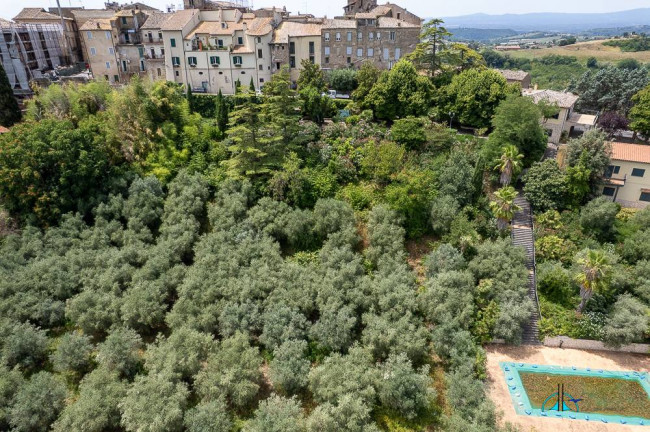 Villa in vendita a Collevecchio
