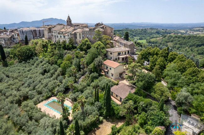 Villa in vendita a Collevecchio