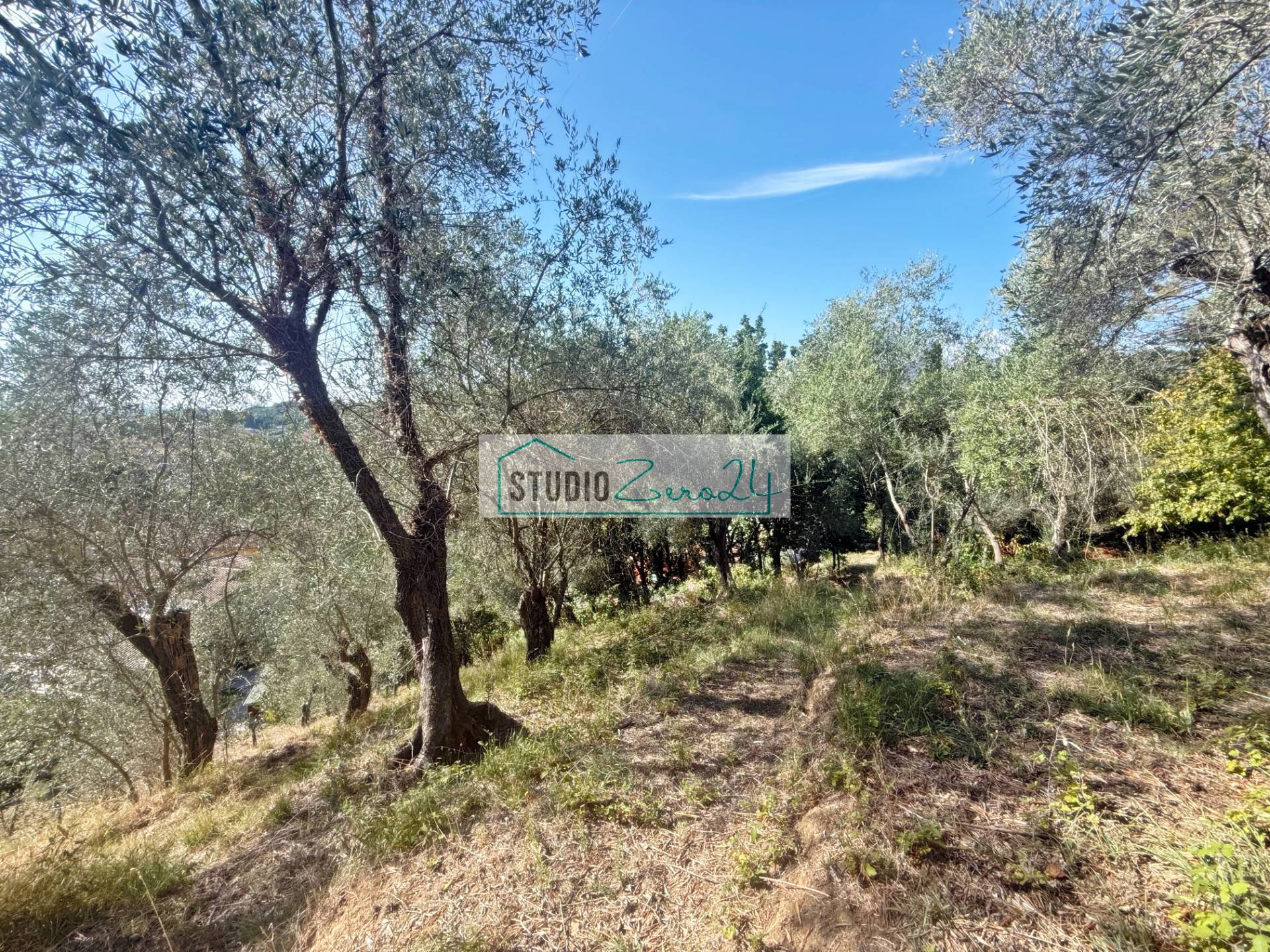 Terreno Agricolo in vendita a Massarosa