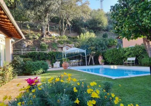 Villa in vendita a Pietrasanta