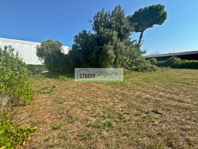 Casa singola in vendita a Viareggio