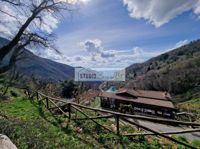 Locale commerciale in vendita a Camaiore