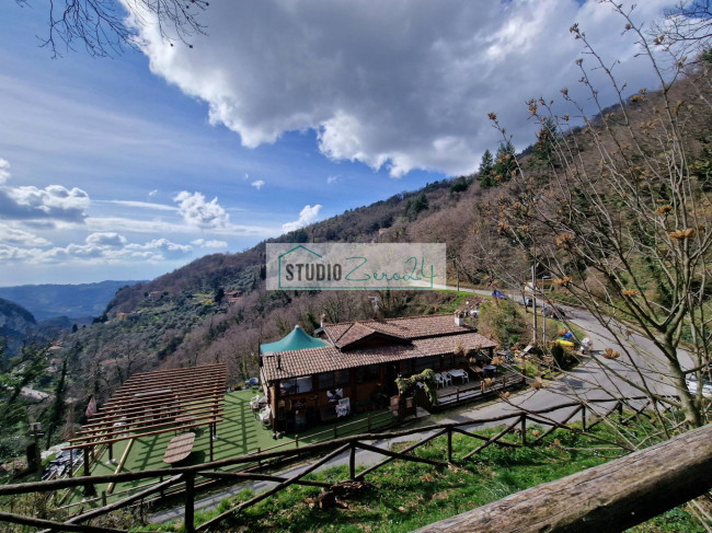 Locale commerciale in vendita a Camaiore