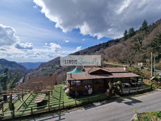 Locale commerciale in vendita a Camaiore