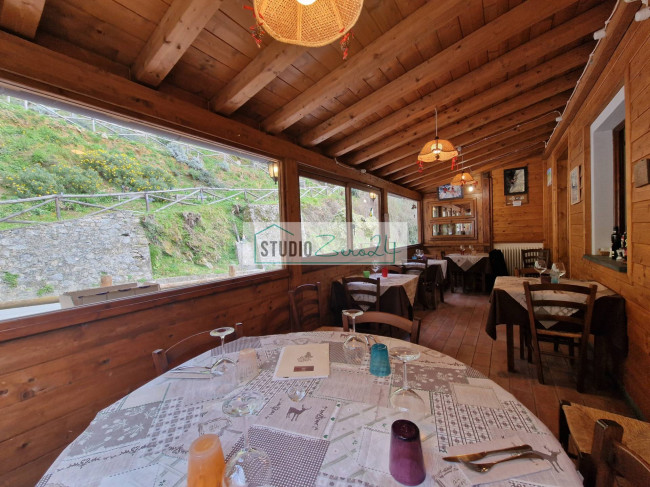 Attività commerciale in vendita a Camaiore