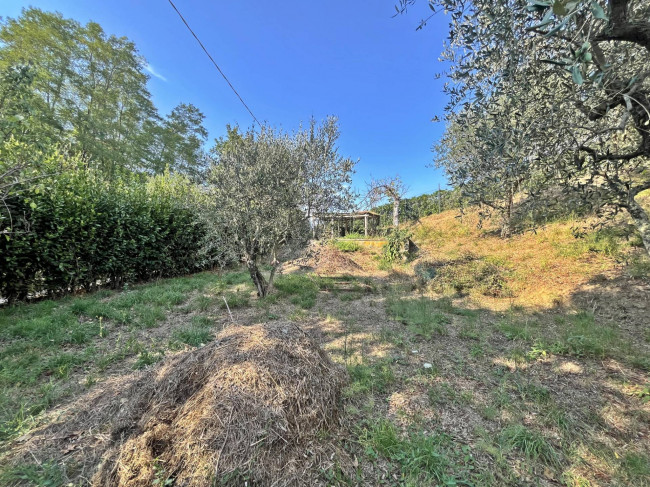 Casa singola in vendita a Massarosa