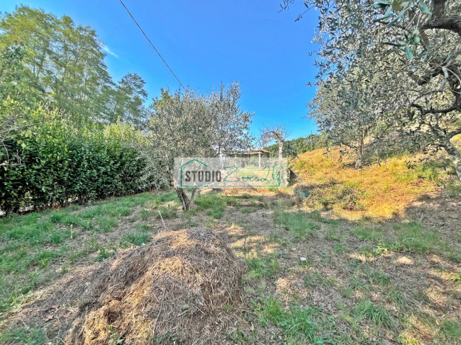 Casa singola in vendita a Massarosa