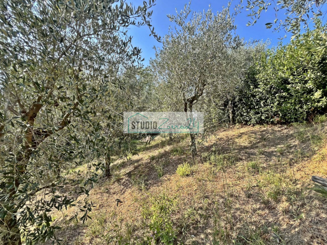 Casa singola in vendita a Massarosa