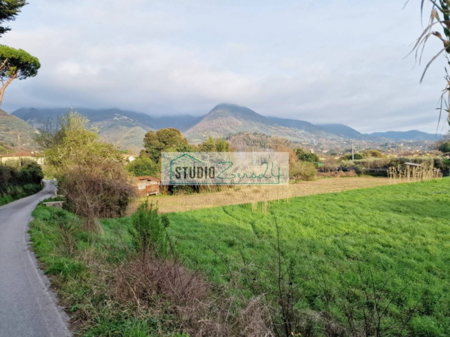Terreno Agricolo in vendita a Camaiore