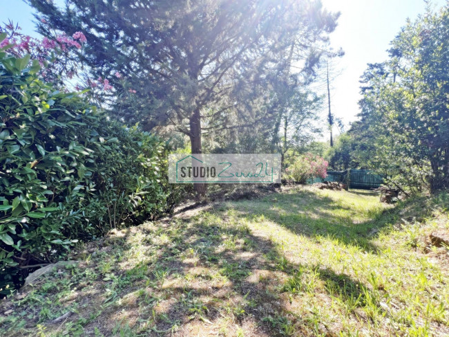 Villa in vendita a Camaiore