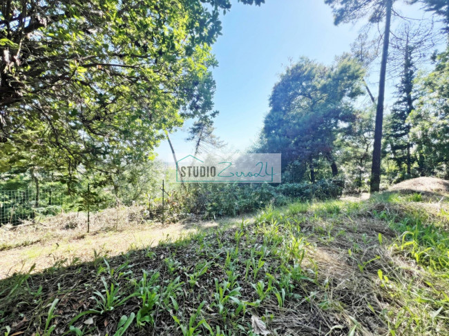 Villa in vendita a Camaiore