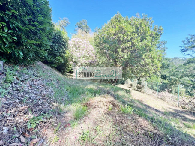 Villa in vendita a Camaiore