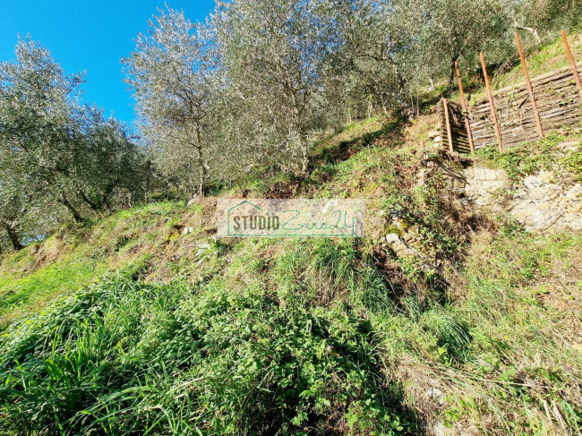 Terreno Agricolo in vendita a Camaiore