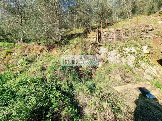 Terreno Agricolo in vendita a Camaiore