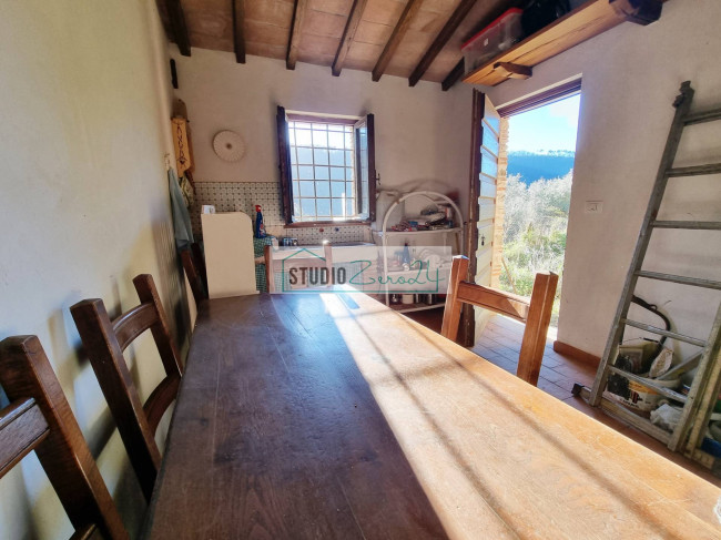 Terreno Agricolo in vendita a Camaiore