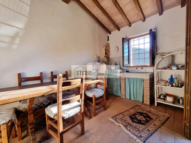 Terreno Agricolo in vendita a Camaiore