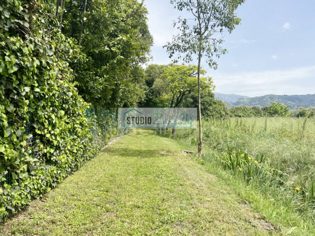 Terreno Agricolo in vendita a Camaiore