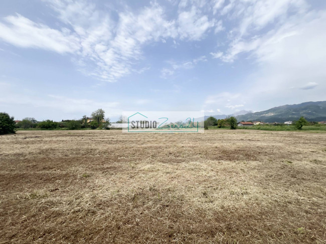 Terreno Agricolo in vendita a Camaiore