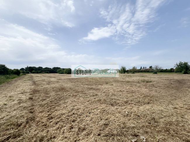 Terreno Agricolo in vendita a Camaiore