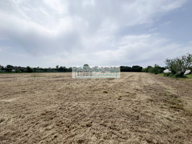 Terreno Agricolo in vendita a Camaiore