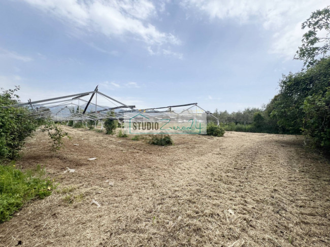 Terreno Agricolo in vendita a Camaiore