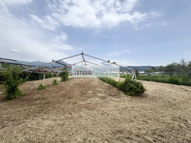 Terreno Agricolo in vendita a Camaiore