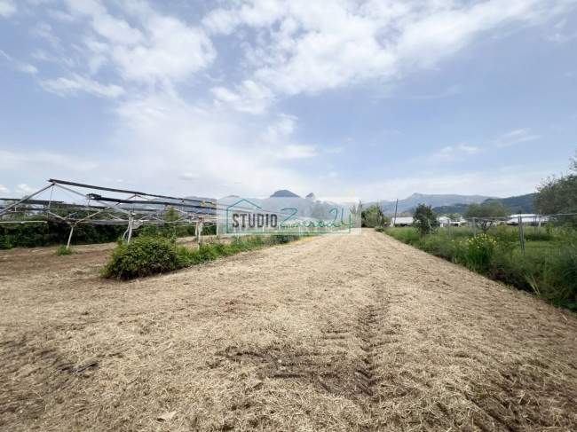 Terreno Agricolo in vendita a Camaiore