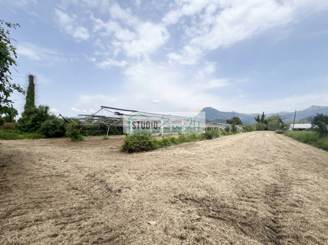 Terreno Agricolo in vendita a Camaiore