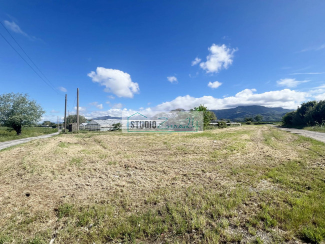 Terreno Agricolo in vendita a Camaiore