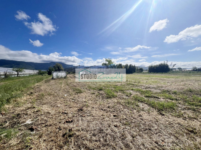 Terreno Agricolo in vendita a Camaiore