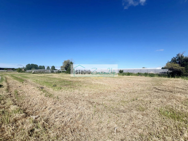 Terreno Agricolo in vendita a Camaiore