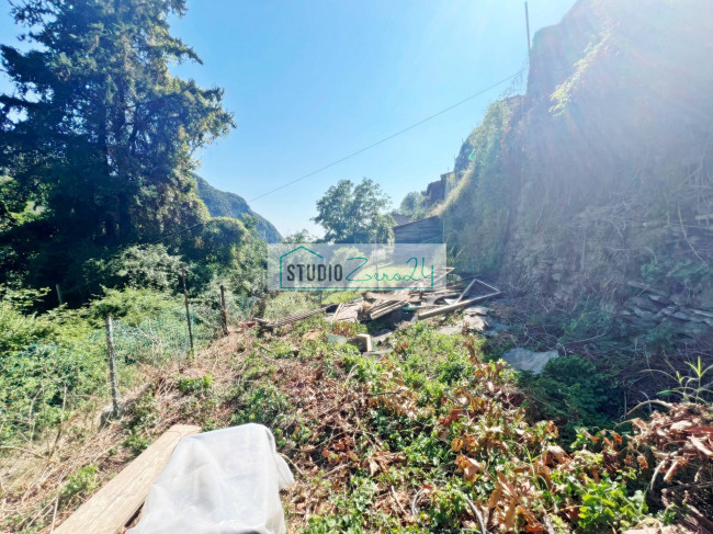 Casa singola in vendita a Camaiore