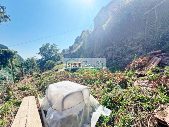 Casa singola in vendita a Camaiore