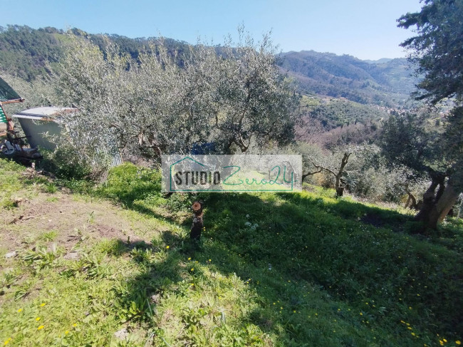 Casa singola in vendita a Massarosa