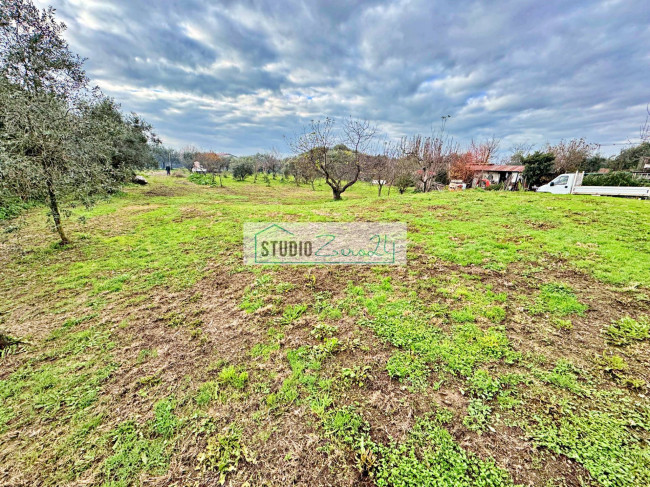 Villa in vendita a Pietrasanta